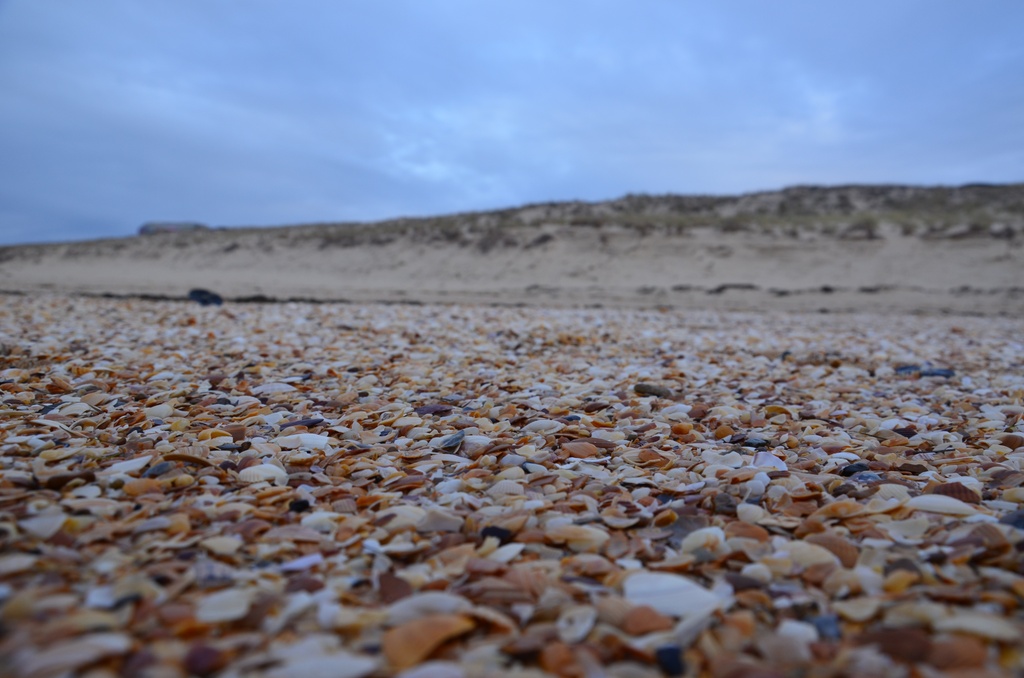 2016-12-10 Bordeaux/Cap Ferret/DSC_0285.JPG